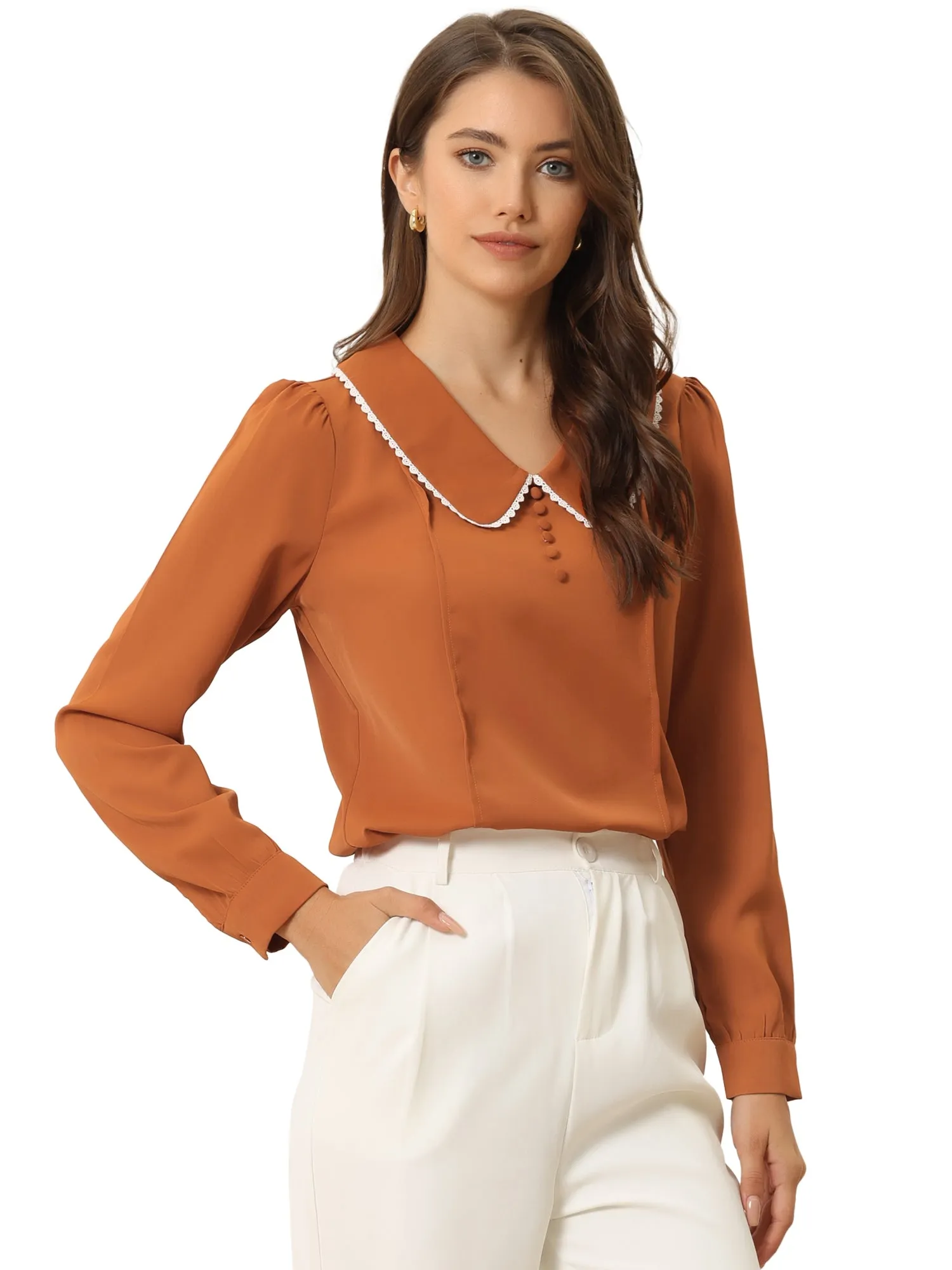 Peter Pan Collar Crochet Trim Long Sleeve Chiffon Office Blouse