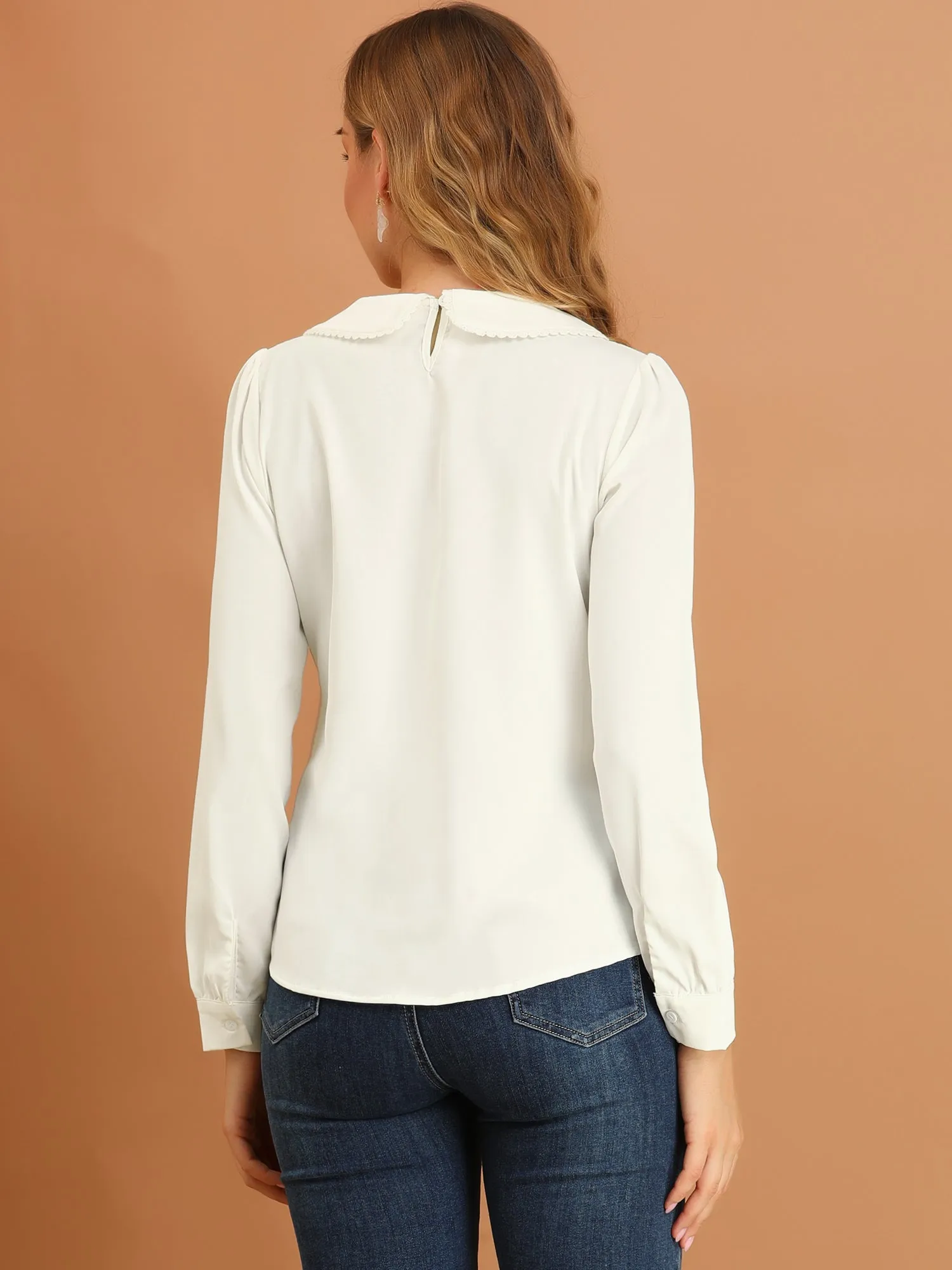 Peter Pan Collar Crochet Trim Long Sleeve Chiffon Office Blouse