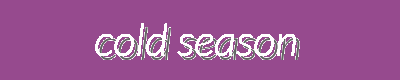 Cold Season Trends & Winter Deals | Seasonal Styles & Holiday Discounts